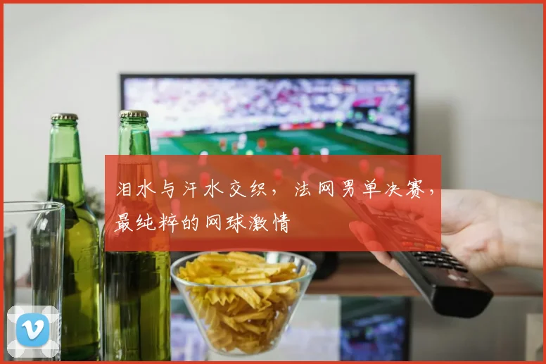 泪水与汗水交织,法网男单决赛,最纯粹的网球激情