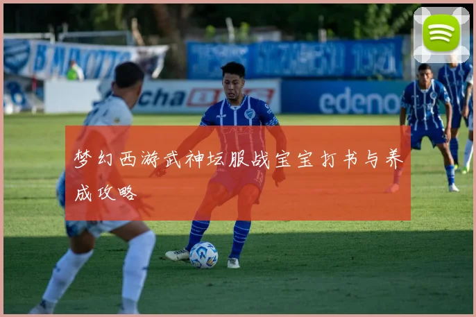 梦幻西游武神坛服战宝宝打书与养成攻略
