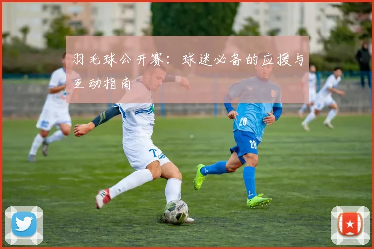 羽毛球公开赛：球迷必备的应援与互动指南