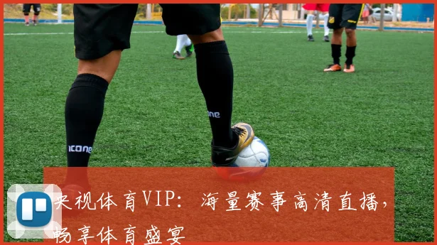 央视体育VIP:海量赛事高清直播,畅享体育盛宴