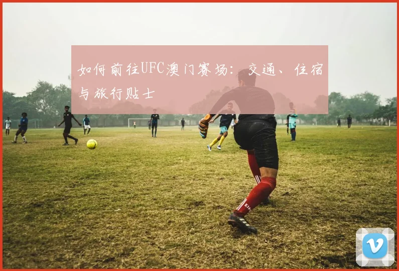 如何前往UFC澳门赛场：交通、住宿与旅行贴士