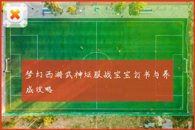 梦幻西游武神坛服战宝宝打书与养成攻略